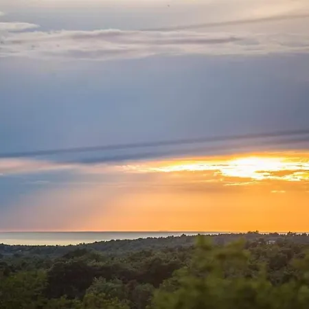 50 Shades Of Grey 波雷奇