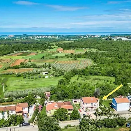 50 Shades Of Grey 波雷奇